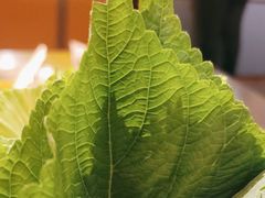 -核桃碳烤肉馆(深圳首店)