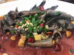 跳跳鱼-杨记海鲜楼