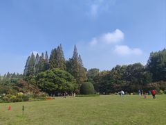 -中山公园