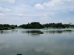 -银涛高尔夫练习场(徐泾店)