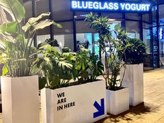 -Blueglass酸奶(财富购物中心店)