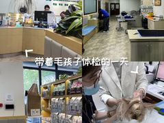 -美联众合动物医院·24h转诊中心