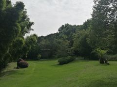 -九曲溪竹筏码头