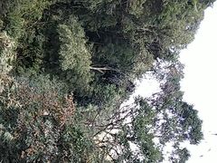 -南昆山川龙瀑布
