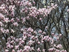 -南京市江宁方山