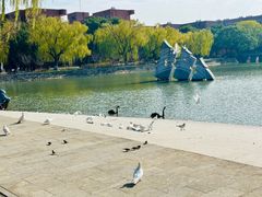 -上海交通大学(闵行校区)