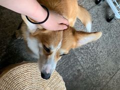 -771餐吧·咖啡·西餐·烤肉(金湖广场店)