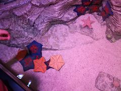 -沈阳海洋探索中心