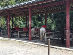 -车溪民俗旅游区