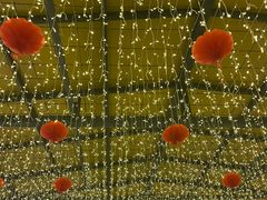 -二荆条·蜀鲜汇城市森林火锅