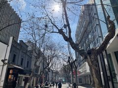 -南宋御街