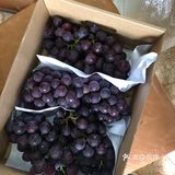 新鲜的葡萄🍇翠冠梨🍐