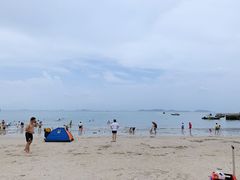 -杨梅坑