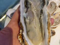 -千岛蚝高压锅生蚝·人参火锅(白云万达店)