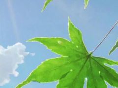-瑶池足道养生SPA
