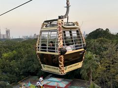 -广州长隆野生动物世界
