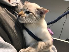 -PETKIT 小佩宠物·低压洗护·美容·寄养(安远店)