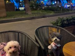 -星巴克(兰桂坊店)