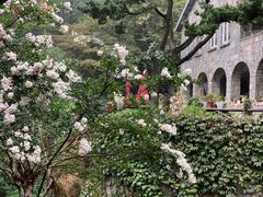 -莫干山风景区