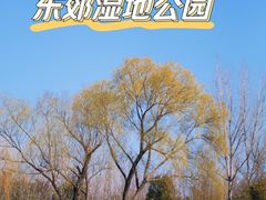 -东郊湿地公园