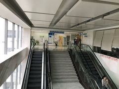 -上海交通大学医学院附属瑞金医院(总院)