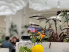 -大树餐厅(朝阳大悦城店)