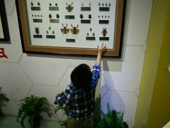 -上海昆虫博物馆