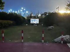 -春花秋色城市公园