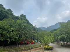 -南丹山森林王国