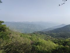 -煲宫(华润万象城店)