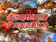 -田野绿世界