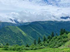 -四姑娘山阿巴郎·藏式花园餐厅