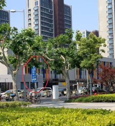 中江路入口-上海市儿童医院(泸定路院区)