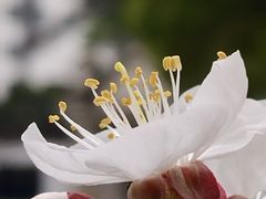 -苏州大学附属第二医院(三香院区)