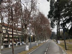 -四川大学(望江校区)
