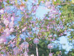 -莫愁湖公园