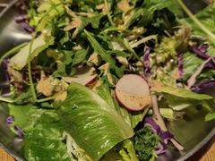 -乐凯撒披萨(东方新世界店)