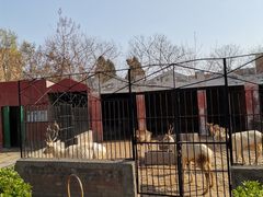 -保定市动物园