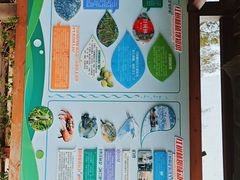 -北海金海湾红树林生态旅游区