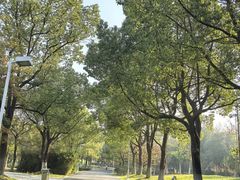 -白塘生态植物园