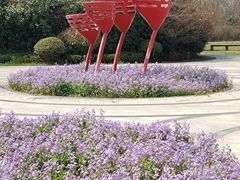 -溱湖国家湿地公园