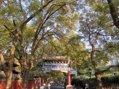 -北京国子监胡同