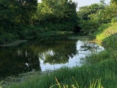 -梁鸿国家湿地公园