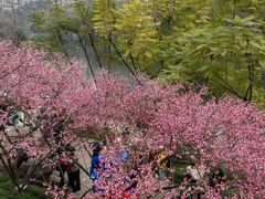 -重庆彩云湖湿地公园