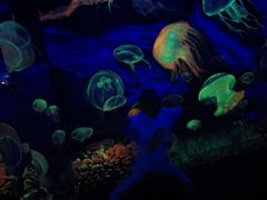 -成都浩海立方海洋公园