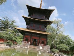 -广富林郊野公园