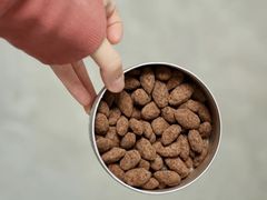 法芙娜巧克力杏仁-黛汀烘焙DAINTY BAKERY(代字行合生汇店)