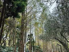 -苏州河梦清园环保主题公园