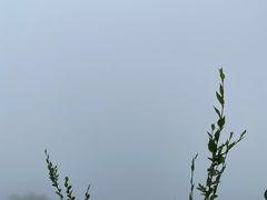 -妙峰山风景名胜区