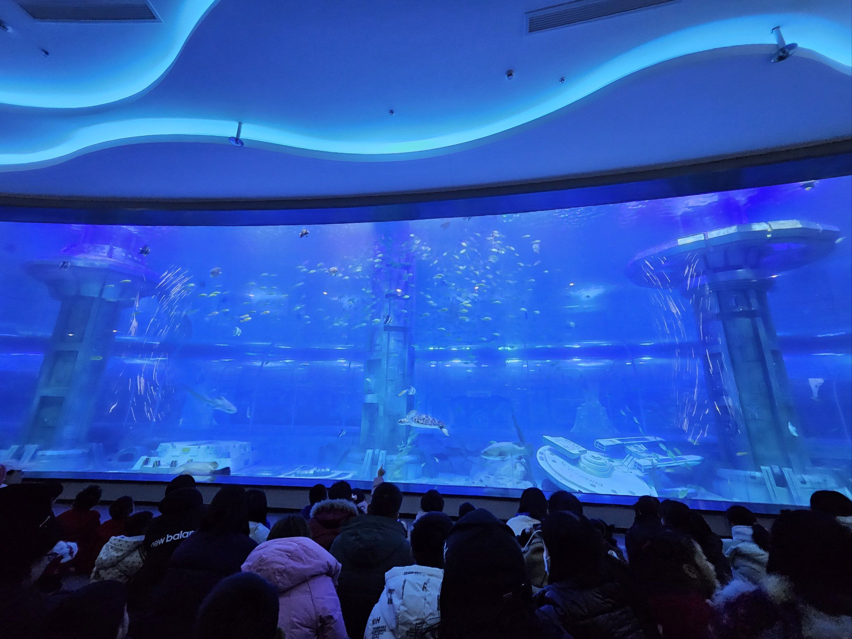 家门口的海洋馆